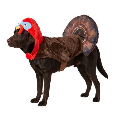 Retriever Turkey Dog Costume