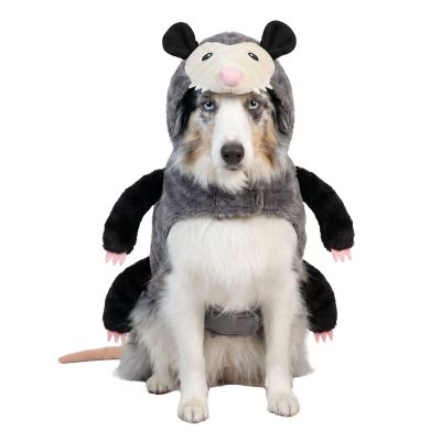 Retriever Opossum Dog Costume