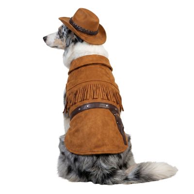 Retriever Fringe Outlaw Dog Costume