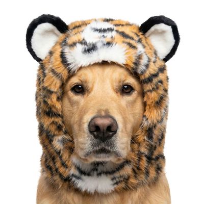 Retriever Tiger Head Dog Costume, M/L