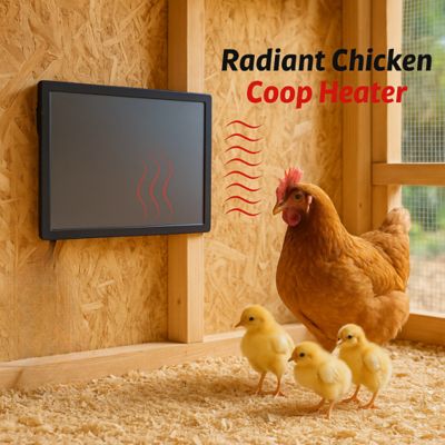 Image showing  Radiant Chicken Coop Heater