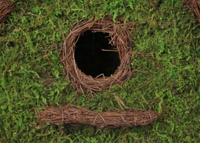 Image showing  Maison Moss Birdhouse, Medium