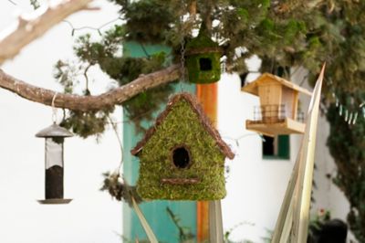 Image showing  Maison Moss Birdhouse, Medium