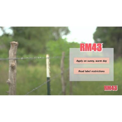 Image showing 5 th RM43 3.5 gal. Total Vegetation Control Weed Preventer Concentrate with Glyphosate and Imazapyr, Bucket with Spouted Lid