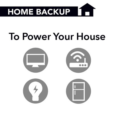 Image showing 9 th DieHard 2,800 W Dual Fuel Inverter Generator