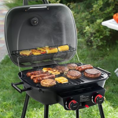 Image showing  Portable 2-Burner Gas Grill with Stand and Shelf, 2-in-1 Grill & Griddle Combo