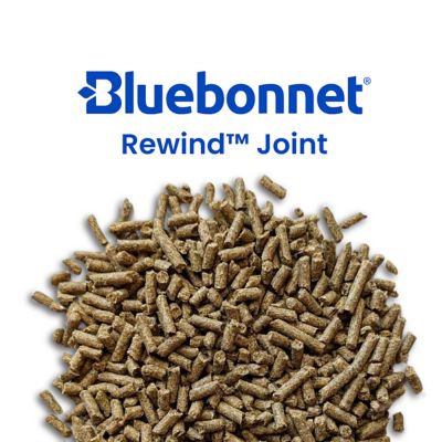 Image showing  Rewind Joint