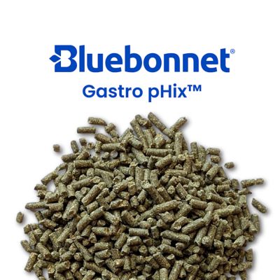 Image showing  Gastro pHix