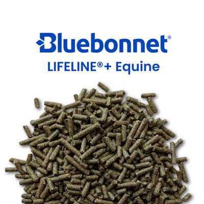 Image showing  Lifeline+ Equine