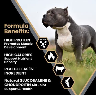 Image showing  Bully Fuel