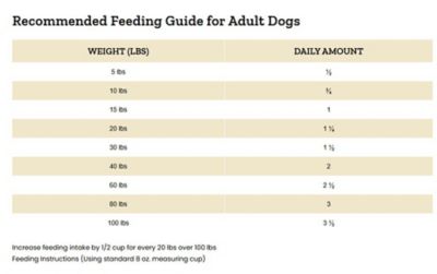 Image showing  Bully Fuel All Life Stages Beef and Chicken Dry Dog Food