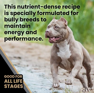 Image showing 5 th Victor Bully Fuel High-Protein Beef and Chicken Dry Dog Food