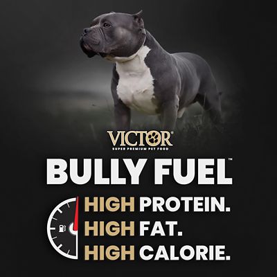 Image showing 9 th Victor Bully Fuel High-Protein Beef and Chicken Dry Dog Food