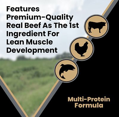Image showing  Bully Fuel High-Protein Beef and Chicken Dry Dog Food