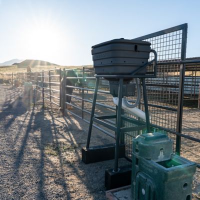 Image showing 8 th Medalist Feed Medalist Portion Pro Smart Feeder - Black