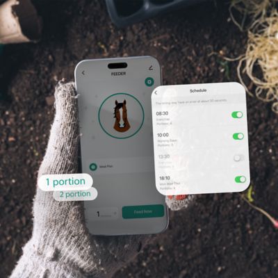 Image showing 6 th Medalist Feed Medalist Portion Pro Smart Feeder - Gray