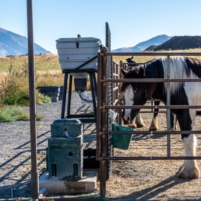 Image showing 7 th Medalist Feed Medalist Portion Pro Smart Feeder - Gray