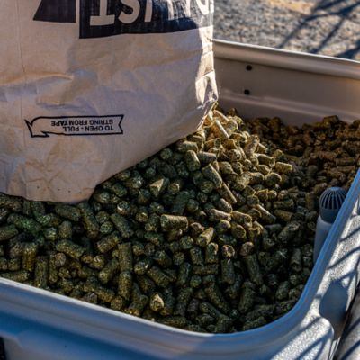 Image showing 8 th Medalist Feed Medalist Portion Pro Smart Feeder - Gray