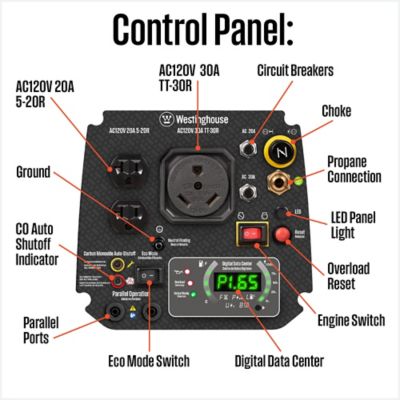 Image showing  2,800/2,200-Watt Dual-Fuel Portable Inverter Generator, RV-Ready, Gas/Propane, CO Sensor