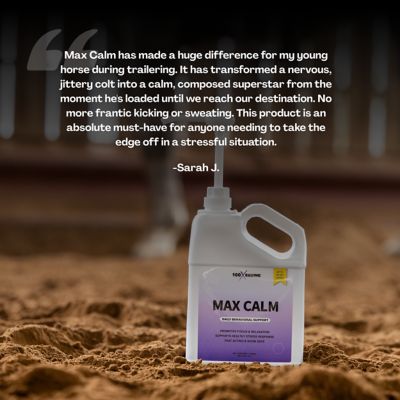 Image showing  Max Calm