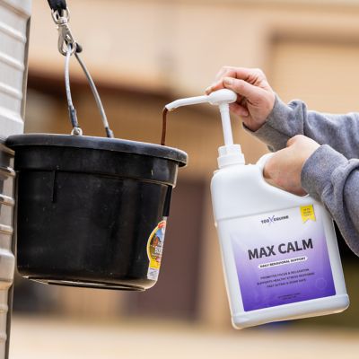 Image showing  Max Calm