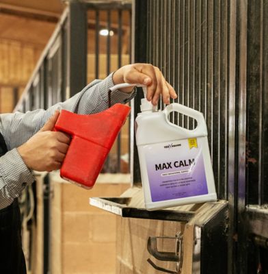 Image showing  Max Calm