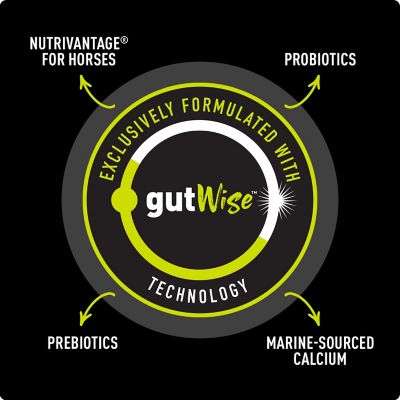 Image showing  Sentinel XT Show