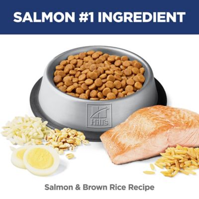 Image showing  Science Diet Adult Sensitive Stomach & Sensitive Skin Salmon
