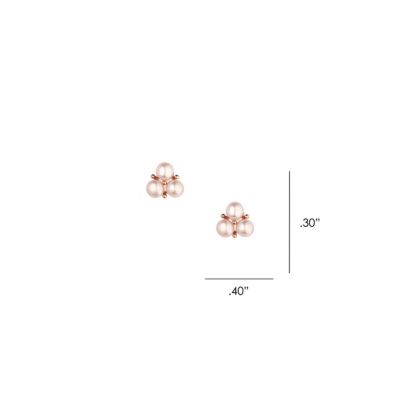 Image showing  Rosewood Rodeo Earrings