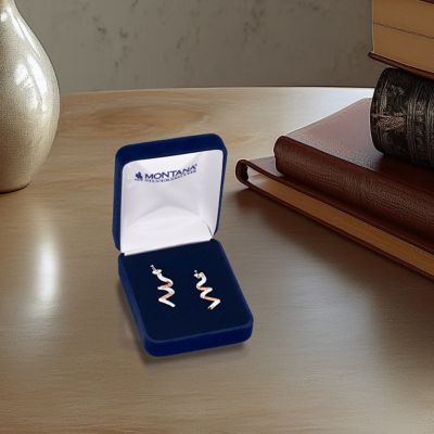 Image showing  Buckaroo Bling Earrings