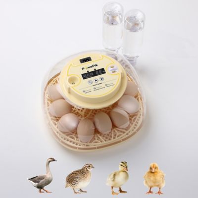 PawsPik Automatic 12-Egg Smart Incubator