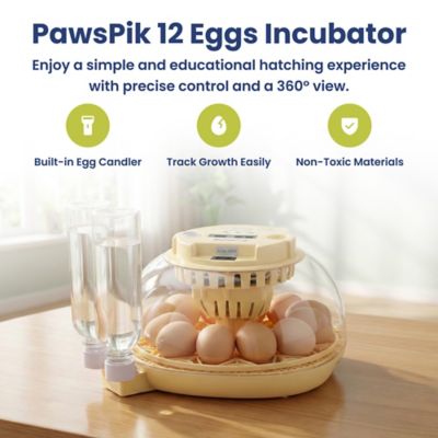 Image showing  Automatic 12-Egg Smart Incubator