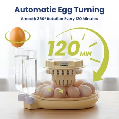 Image showing  Automatic 12-Egg Smart Incubator