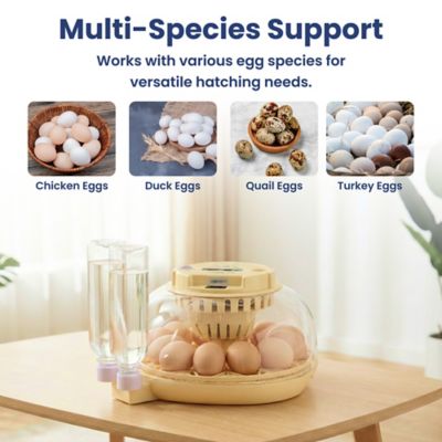 Image showing 7 th PawsPik Automatic 12-Egg Smart Incubator