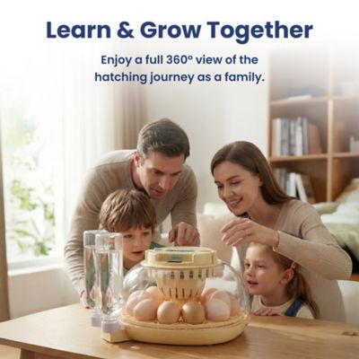 Image showing 8 th PawsPik Automatic 12-Egg Smart Incubator