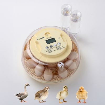 PawsPik Automatic 18-Egg Smart Incubator