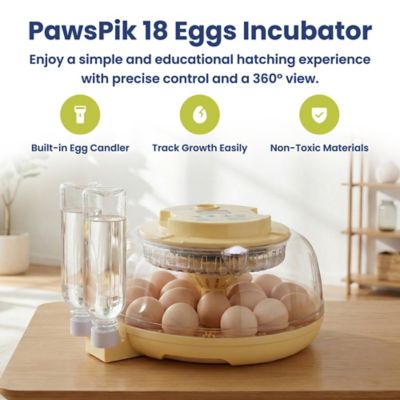 Image showing  Automatic 18-Egg Smart Incubator