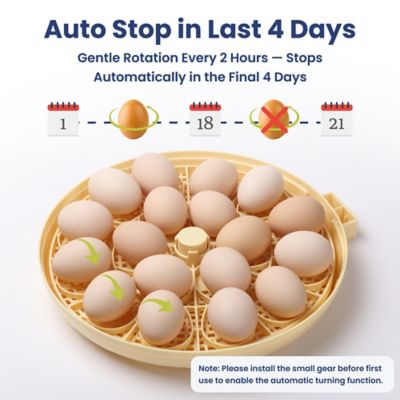 Image showing 6 th PawsPik Automatic 18-Egg Smart Incubator