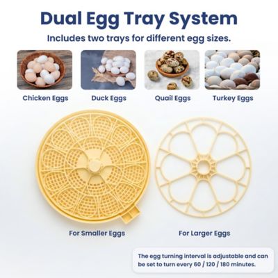 Image showing 7 th PawsPik Automatic 18-Egg Smart Incubator