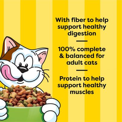 Image showing  Indoor Dry Cat 13.5 lb.