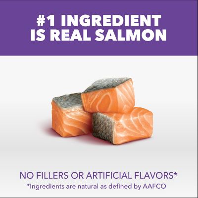 Image showing  Healthy Kitten with Salmon 16lb.