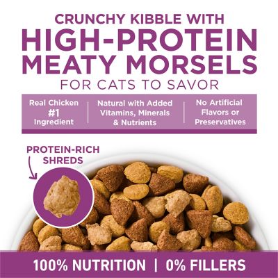 Image showing  Plus Whole Body Support With Chicken Dry Cat Food Medium