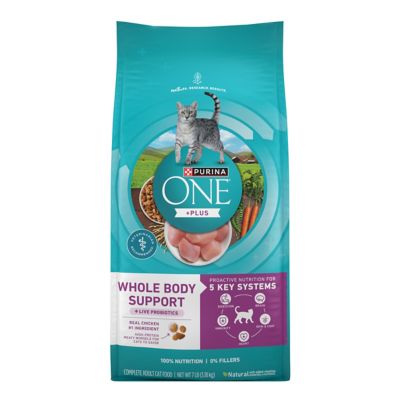 Purina ONE Plus Whole Body Support With Chicken Dry Cat Food Small