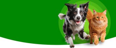 Image showing  Proactive Health Healthy Puppy Chicken and Whole Grain Recipe Dry Dog Food, 5 lb. Bag