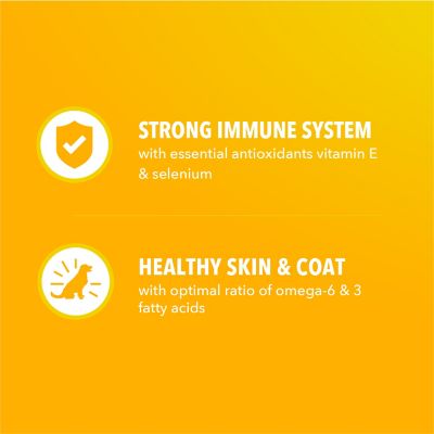 Image showing 6 th Iams ProActive Health Healthy Puppy Chicken and Whole Grain Recipe Dry Dog Food, 5 lb. Bag