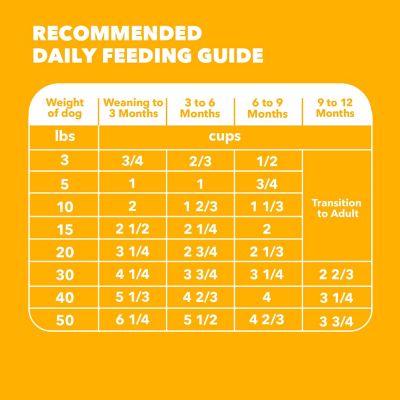 Image showing 7 th Iams ProActive Health Healthy Puppy Chicken and Whole Grain Recipe Dry Dog Food, 5 lb. Bag