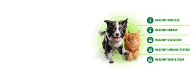 Image showing  ProActive Health Small Breed Puppy Chicken and Whole Grain Recipe Dry Dog Food, 5 lb. Bag