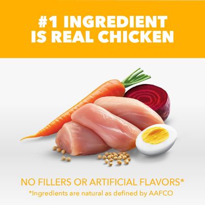 Image showing  ProActive Health Small Breed Puppy Chicken and Whole Grain Recipe Dry Dog Food, 5 lb. Bag