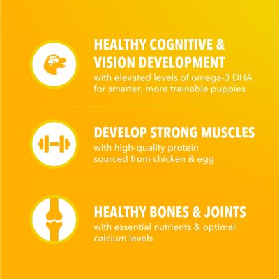 Image showing  ProActive Health Small Breed Puppy Chicken and Whole Grain Recipe Dry Dog Food, 5 lb. Bag