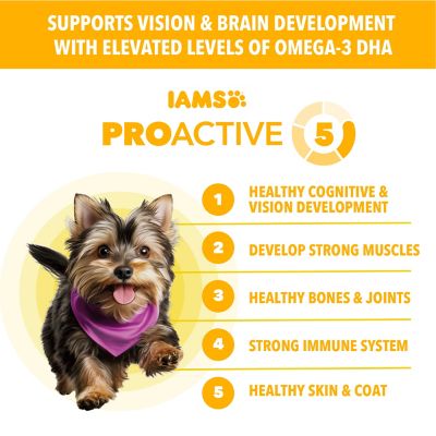 Image showing 5 th Iams ProActive Health Small Breed Puppy Chicken and Whole Grain Recipe Dry Dog Food, 5 lb. Bag